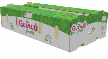 Caja para Guayaba